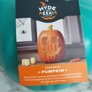 Hyde & EEK! | Holiday | Hyde Eek Medium Carvable Teal Pumpkin | Poshmark